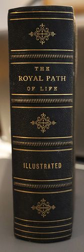 T.L. HAINES A.M. AND L.W. YAGGY, M.S. 1880 THE ROYAL PATH OF LIFE AIMS AND AIDS TO SUCCESS AND HAPPINESS 