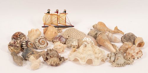 COLLECTION OF SEASHELLS & CORAL, APPROX. 27 PCS, L 2"-8" 