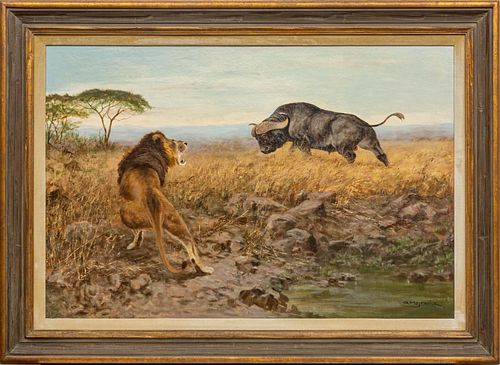 GEORGE MAJEWICZ (GERMAN, 1897-73), OIL ON CANVAS, H 31", W 47", LION HUNTING BUFFALO 