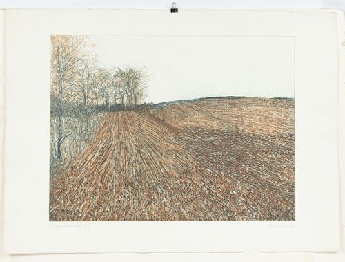 PETER REDIKER (B. 1942) ETCHING WITH COLORS ON WOVE PAPER, 1977, H 19.25", W 25.5", "LANDSDRAFT 77 #4" 