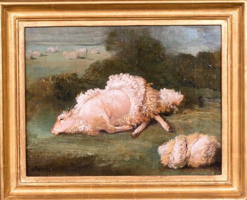  A SHEEP AND A SHORN FLEECE OIL PAINTING