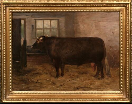  A PRIZE SHORTHORN BULL OIL IN A BARN PAINTING