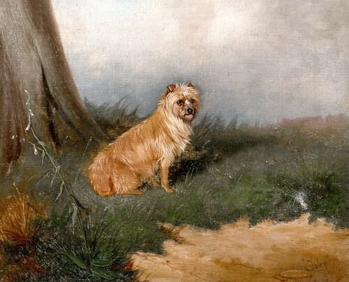 POTRAIT OF A WIRE HAIRED TERRIER "TOBY" OIL PAINTING