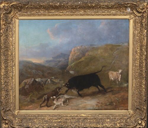  BULL DEFENDING A CALF FROM A WOLF OIL PAINTING