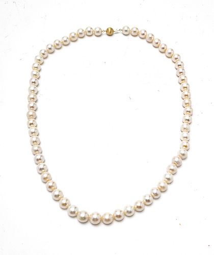 SOUTH SEA 12 1/2MM SILVER HUE PEARL NECKLACE 59 PEARLS L 36" 