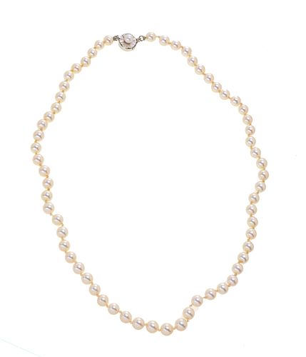PEARL NECKLACE, 14KT WHITE GOLD CLASP L 17" 