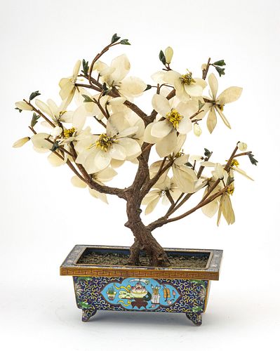 CHINESE CLOISONNE JADE TREE H 17" W 14" L 9" 