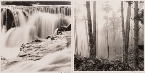 MONTY NAGLER (AMERICAN) PHOTOGRAPH ON PAPER, PAIR H 16.25" W 16" FOREST SCENE; WATERFALL 