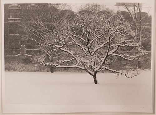 GELATIN SILVER PRINT ON PAPER, H 8" W 11" SNOW AND TREE 
