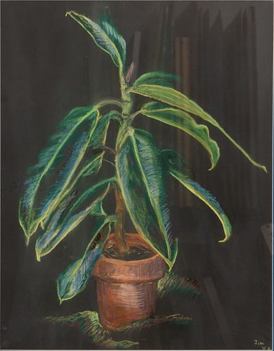JAMES VAN SWEDEN (AMERICAN, 1935-2013) PASTEL ON BLACK PAPER, H 25" W 20" POTTED PLANT 