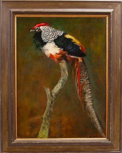 SIGNED OIL ON CANVAS, H 24", W 18", LADY AMHERST'S PHEASANT 