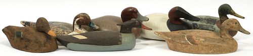 PAINTED & CARVED WOOD DUCK DECOYS, 7 PCS, L 12"-17"