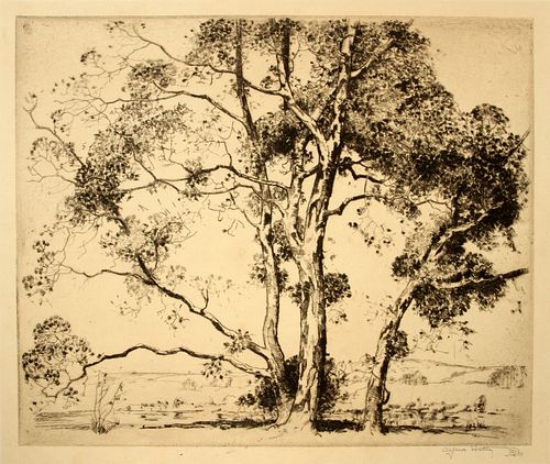 ALFRED HUTTY,  (AMER.1877-1954) ETCHING ON PAPER, H 7.75", W 9.75", BIRCHES 