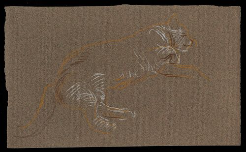 Paul Cadmus Sleeping Cat Crayon on Paper