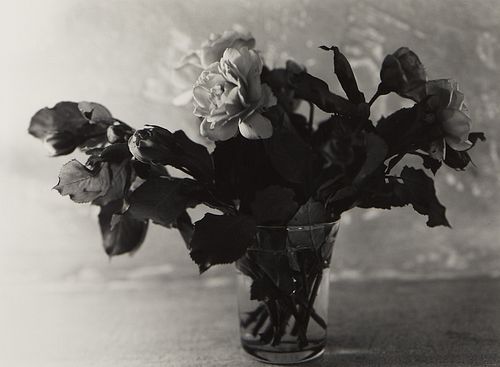 JoAnn Verburg Still Life Flowers Photograph