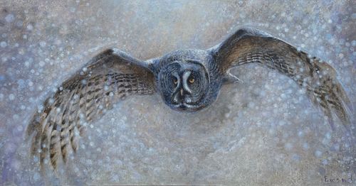 Ewoud de Groot (b. 1969), Great Gray Owl
