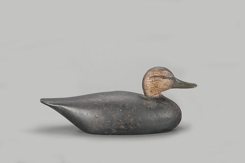 Black Duck Decoy by A. Elmer Crowell (1862-1952)