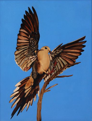 Thomas A. Nelson (b. 1956), Landing Dove