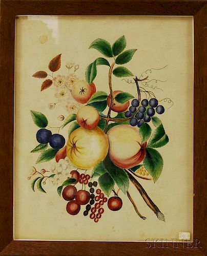 Framed Watercolor on Velvet Theorem of Fruit