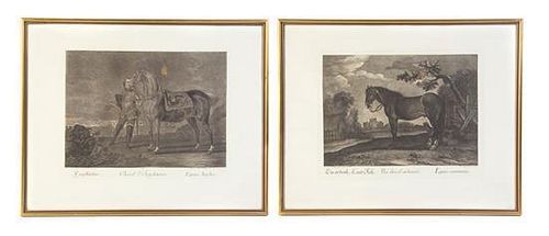 Twenty-One Continental Equestrian Engravings, 20TH CENTURY, AFTER JOHANN ELIAS RIDINGER (GERMAN, 1698-1767), Height of image 9 1