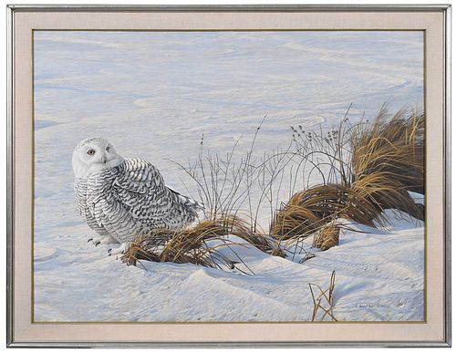 *Robert Bateman Wildlife Painting, Owl