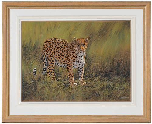 Kim Donaldson Wildlife Painting