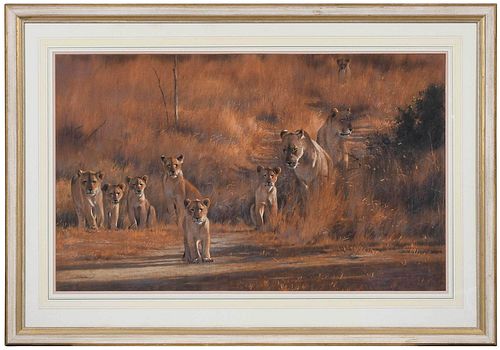 Kim Donaldson Wildlife Painting