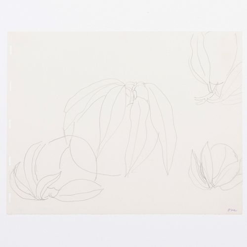 Henri Matisse (1869-1954): Fruits et feuilles (peches)