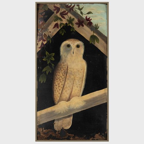20th Century School: Owl