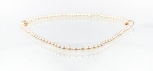 14K Opera Length Cultured Pearl Necklace