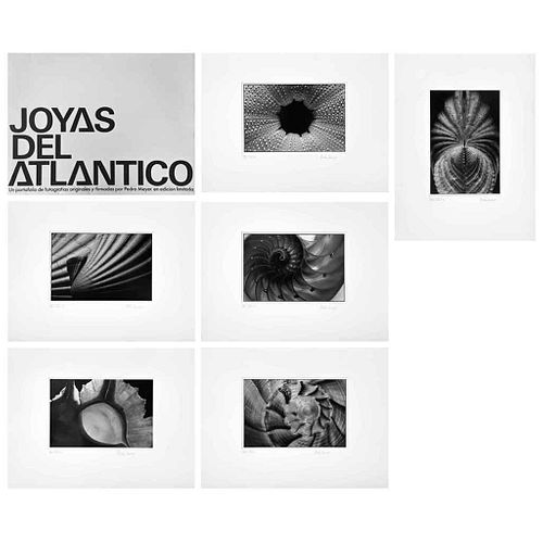 PEDRO MEYER, Joyas del Atlántico, Firmadas, Plata/Gelatina VIII / XX (1 - 6), 40 x 30 cm