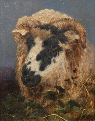 PORTRAIT OF A RAMS HEAD OIL PAINTING