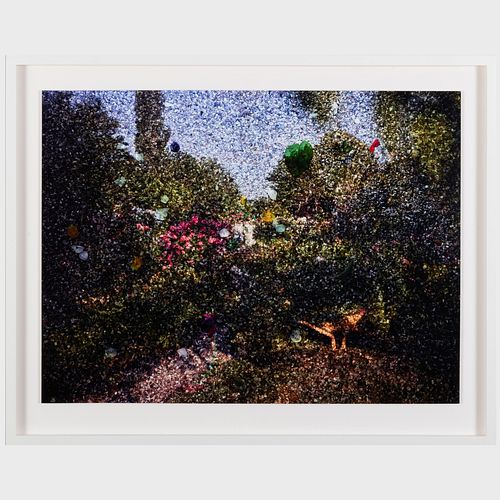 Abelardo Morell (b. 1948): View of Monet’s Garden 