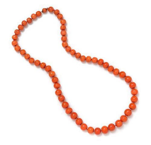 A Single Stranded Graduated Coral Bead Necklace, 50.20 dwts.