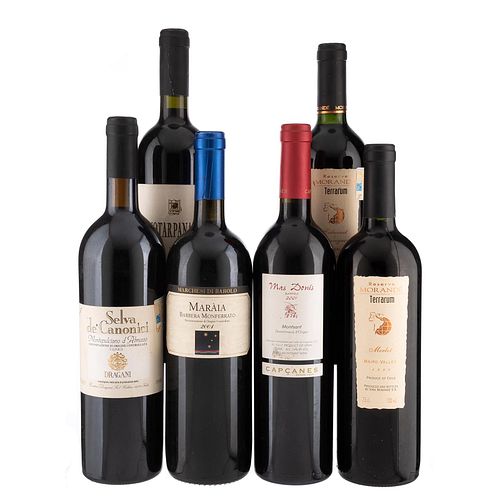 Lote de Vinos Tintos de Italia, Chile y España. Notarpanaro. En presentaciones de 750 ml. Total de piezas: 6.