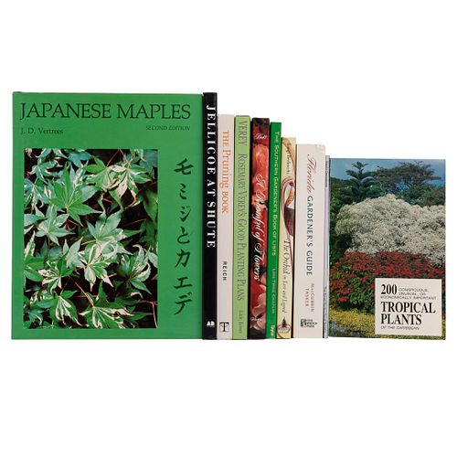 A Roomful of Flowers /  Rosemary Verey´s Good Planting Plans / The Pruning Book. Jellicoe at Shute / Japanese Maples. Varios f...