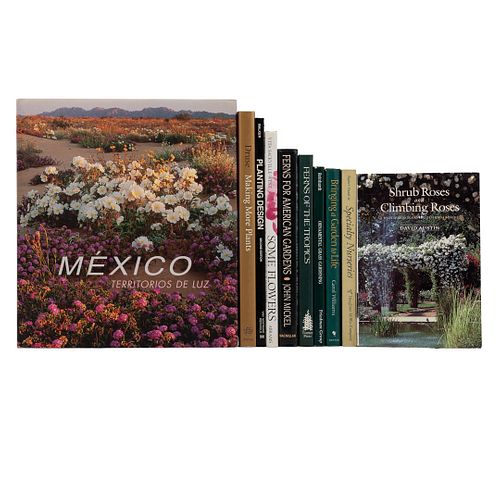 Libros sobre Jardinería. Varios formatos. Algunos títulos: Ornamental Grass Gardening, Design ideas, Functions and Effects. Piezas: 10.