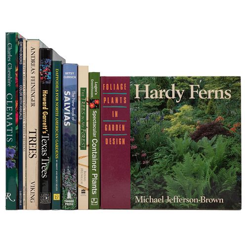 Trees / Burpee American Gardening Series: Garden Designs / Ortho Books, Color With Annuals / Clematis / The Trees in my Forest.<P...