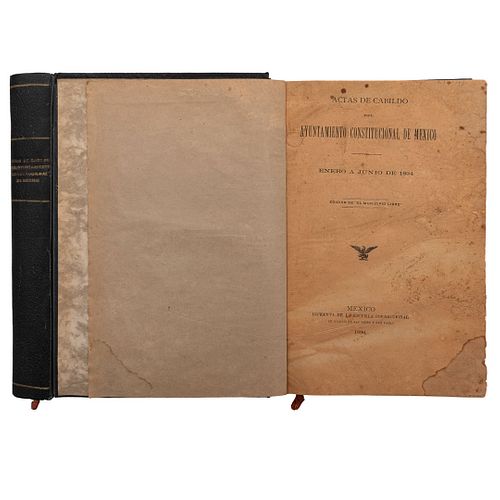 Actas de Cabildo del Ayuntamiento Constitucional de México. Enero a Junio de 1894. México: Imprenta de la Esc. Correccional, 1896.