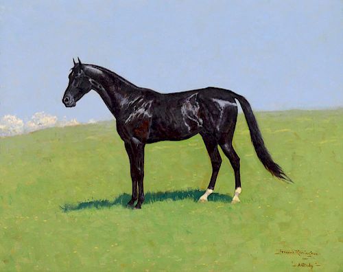 Frederic Remington (1861-1909) Study of Bellini, A Trotter 1900