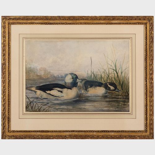 Alexander Pope, Jr. (1849-1924): Ducks