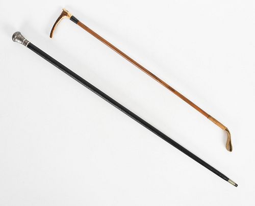 A Walking Stick and A Riding Crop