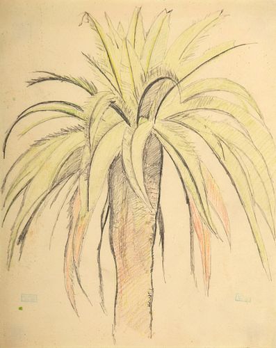 Joseph Stella Drawing, Palm Tree