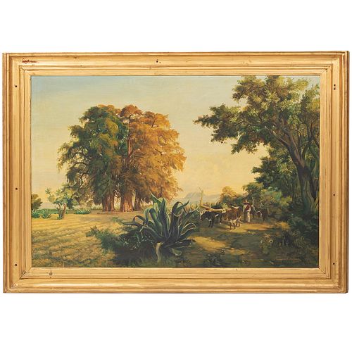 --- Mateo Saldaña, paisaje con bueyes y maguey, f y f 1881 posterior, óleo sobre tela, 100 x 150 cm., enmarcado.