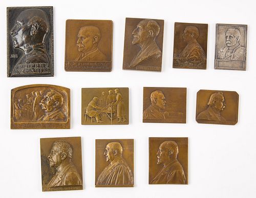 12 Bronze Plaquettes - Medical Related