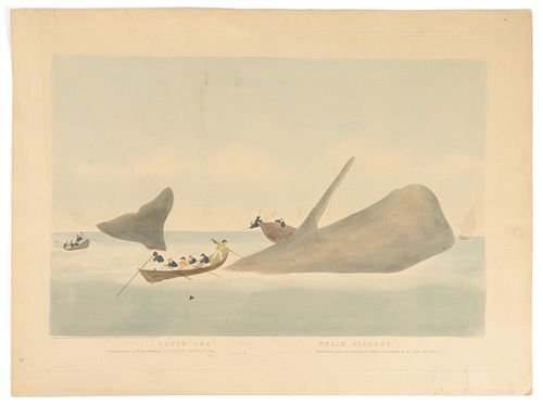 WHALING HISTORICAL PRINT
