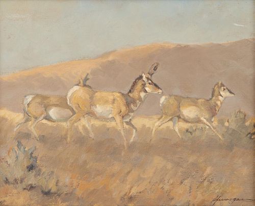 Robert F. Morgan, oil on canvasboard