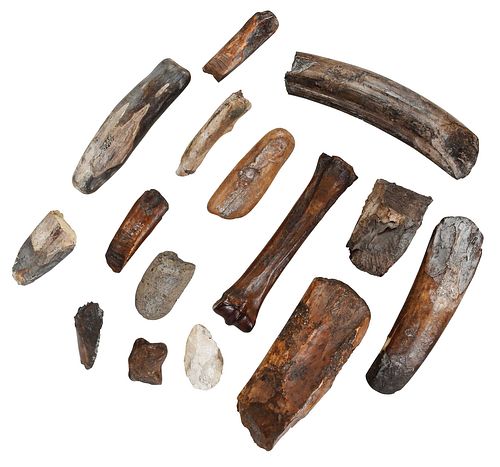 Group of 15 Pleistocene Tools