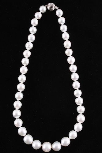 RARE Natural White South Sea Pearl Necklace