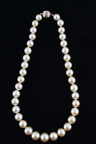 RARE Natural Golden South Sea Pearl Necklace